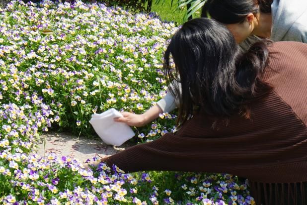 04F8D6AFCD428FA246EC1744D83_24D5D1B3_131CA 04F8D6AFCD428FA246EC1744D83_24D5D1B3_131CA