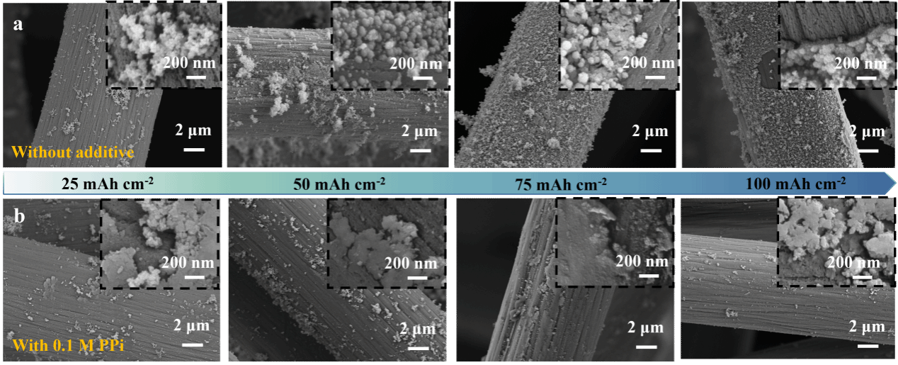 CA88(�й���)Ψһ�ٷ���վ