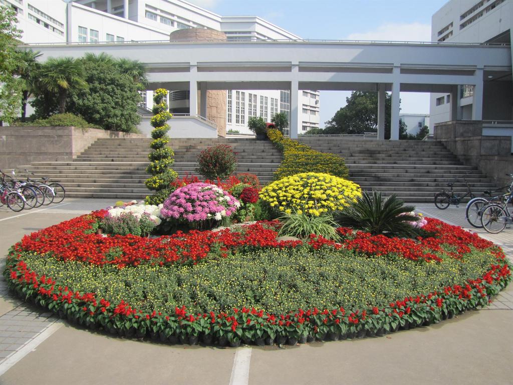 CA88(�й���)Ψһ�ٷ���վ