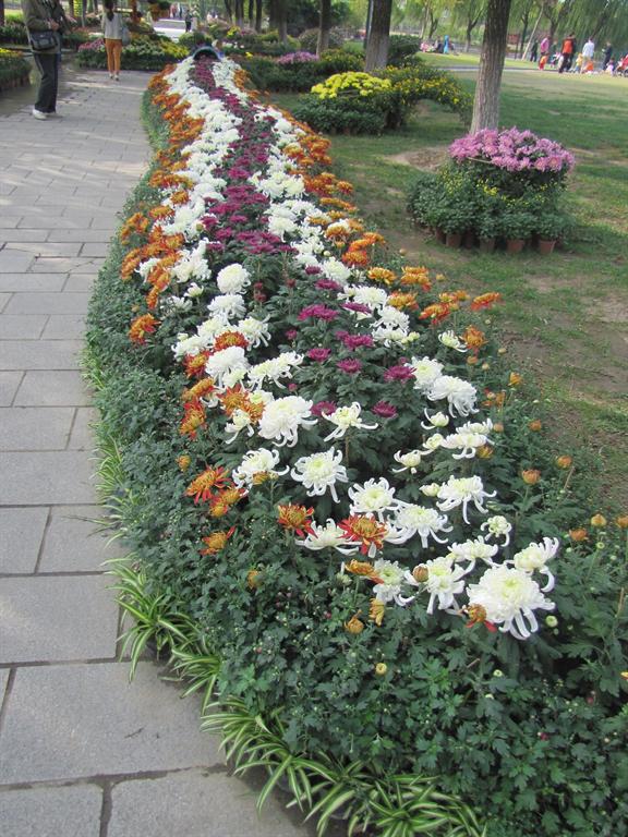 CA88(�й���)Ψһ�ٷ���վ