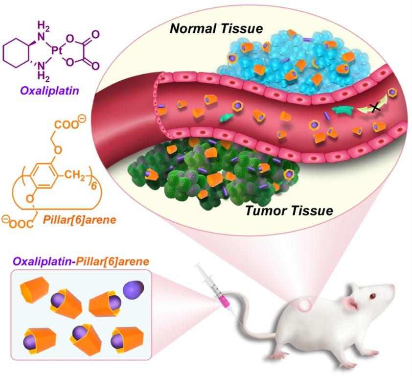 CA88(�й���)Ψһ�ٷ���վ