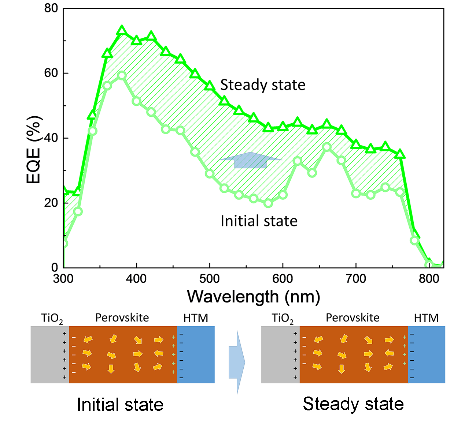 CA88(�й���)Ψһ�ٷ���վ