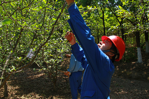 CA88(�й���)Ψһ�ٷ���վ