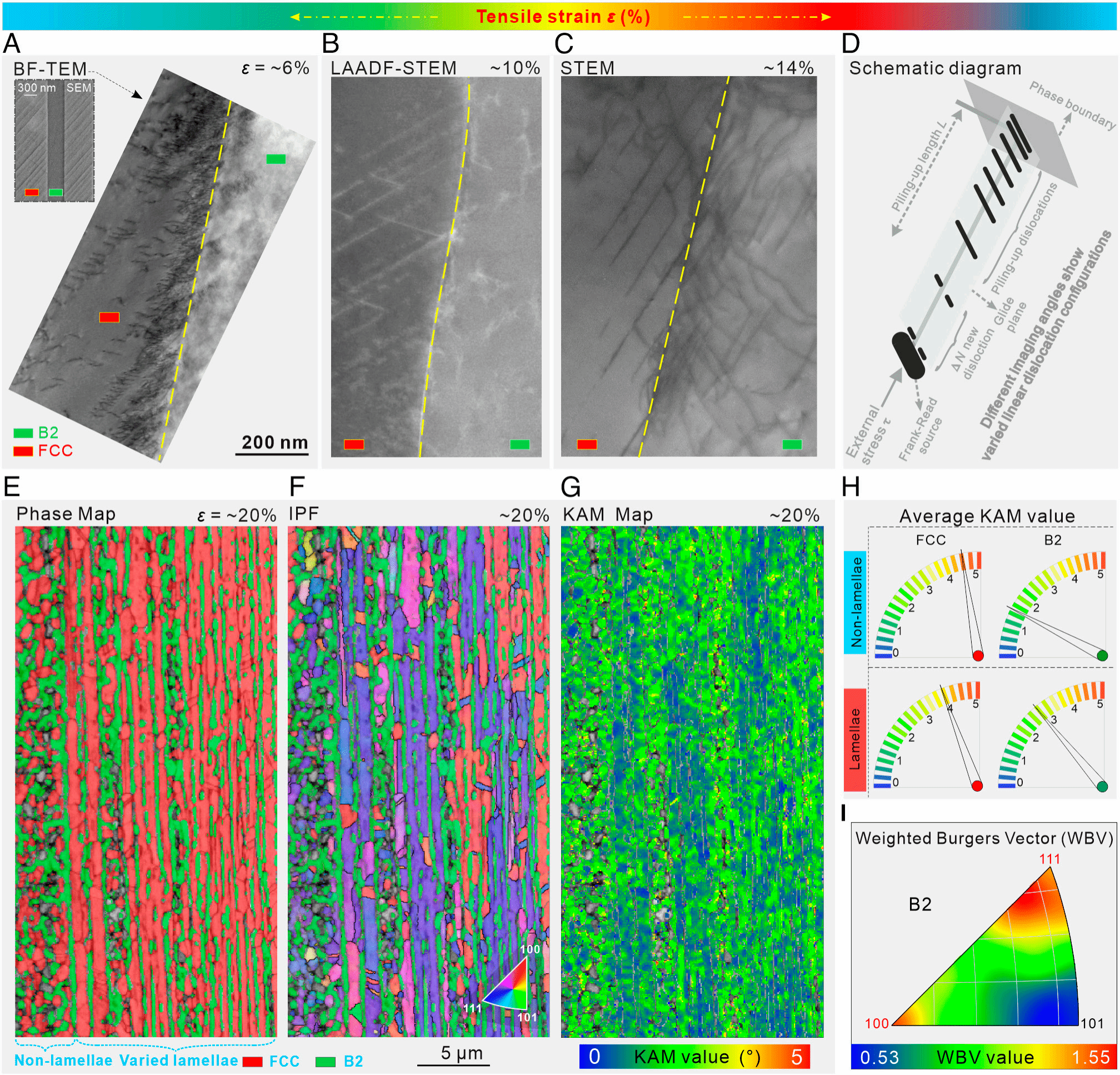 CA88(�й���)Ψһ�ٷ���վ