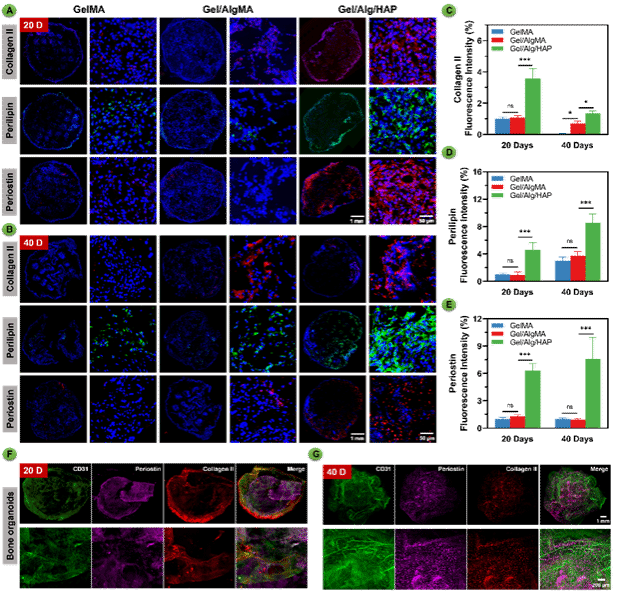 CA88(�й���)Ψһ�ٷ���վ