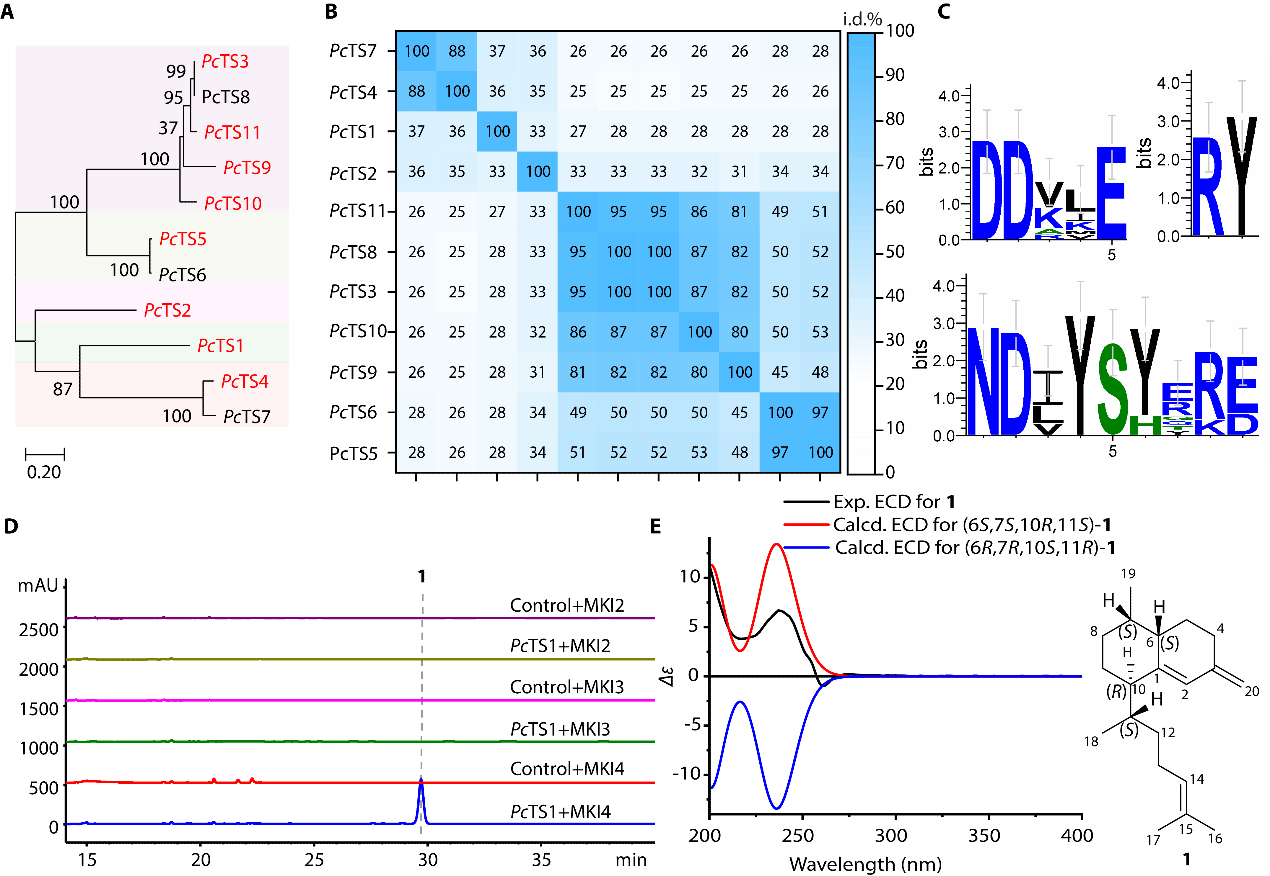 D53E5CFC29D8AC1EB487FB282E7_9754BFE6_DAED