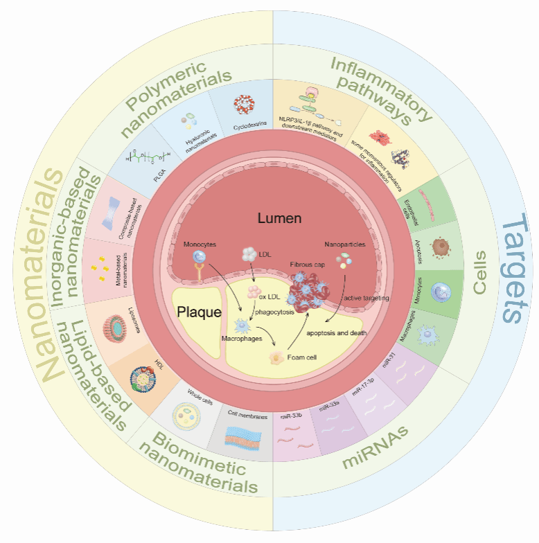 519A673F60F6343A19F7394D384_04BA6DD4_1344C