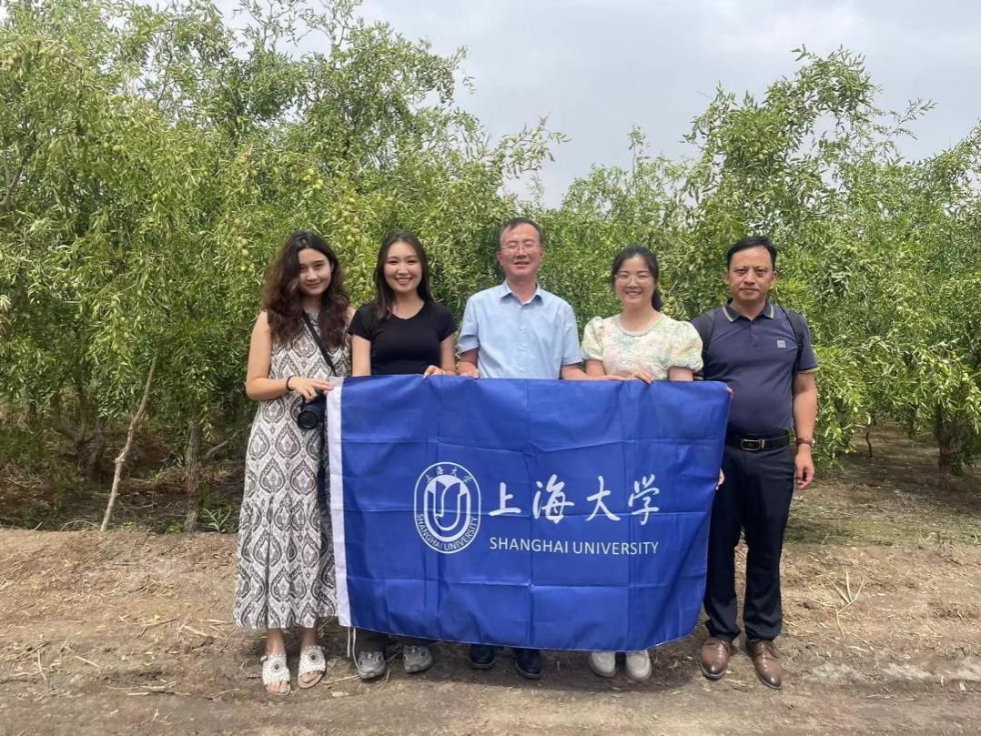 BF60C0DF7CB32E4936A3D606C8E_D59A9187_3B3C4